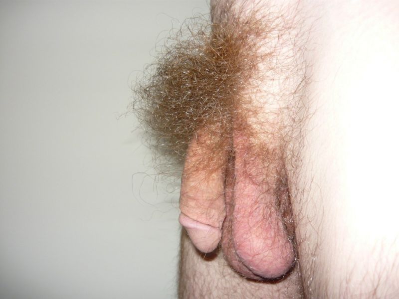 Dad Shaved Pubes Tumblr
