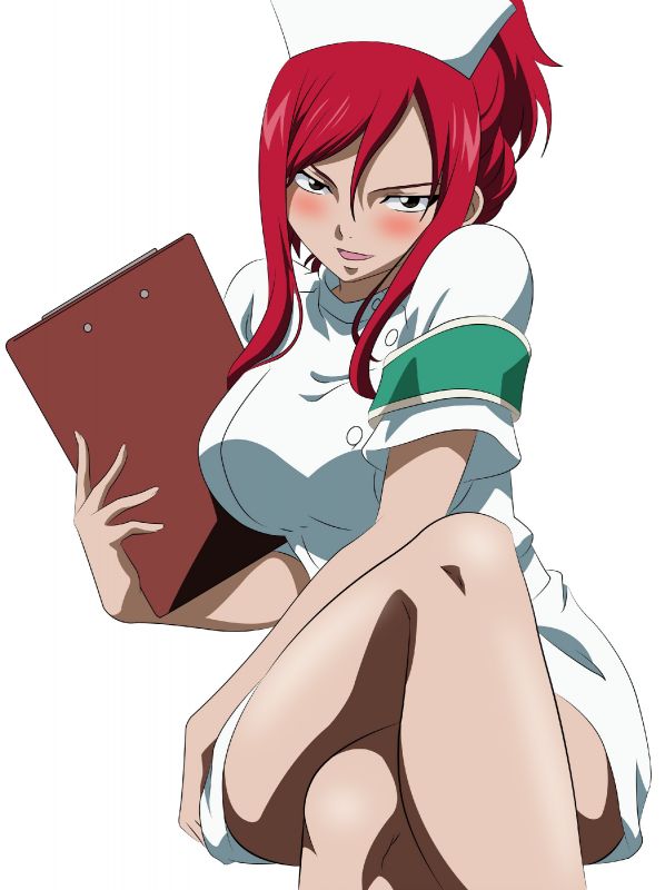 fairy tail erza costumes
