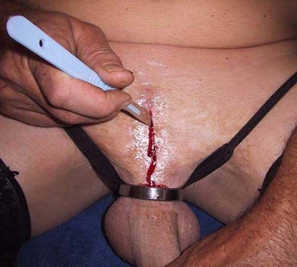hot sex penis vagina