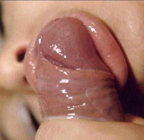 lips around dick