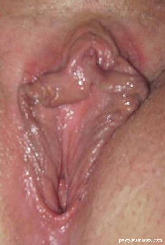Creampie Vagina Mature