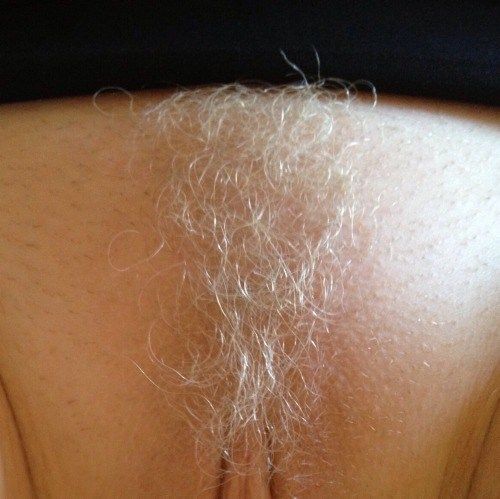 boobs vagina hair