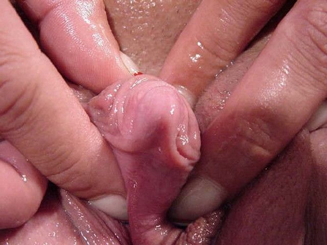 clitoris gif