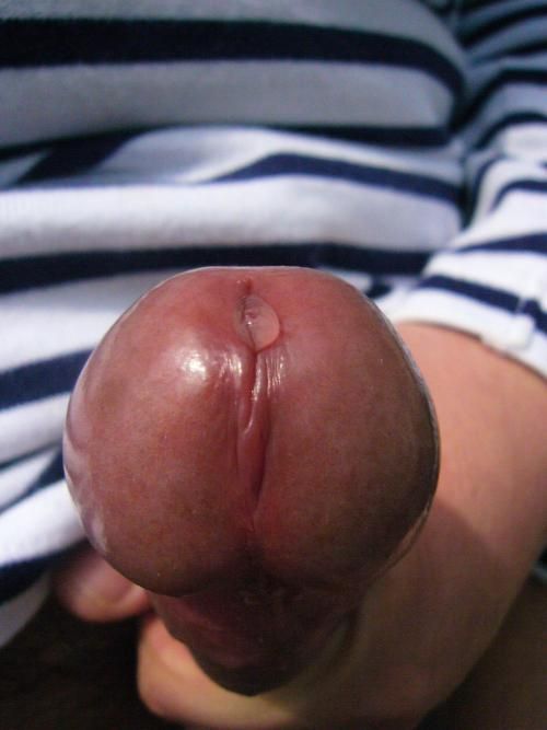 close up hard penis heads