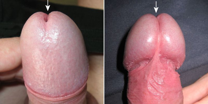 vagina big dick porn