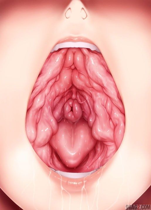 erect penis vagina insertion