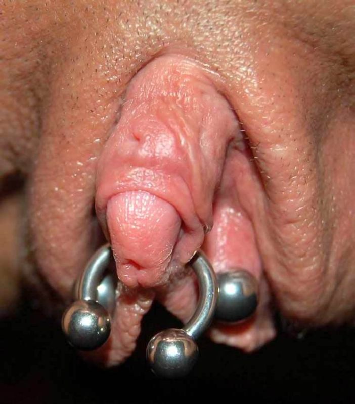 erect clitoris sex