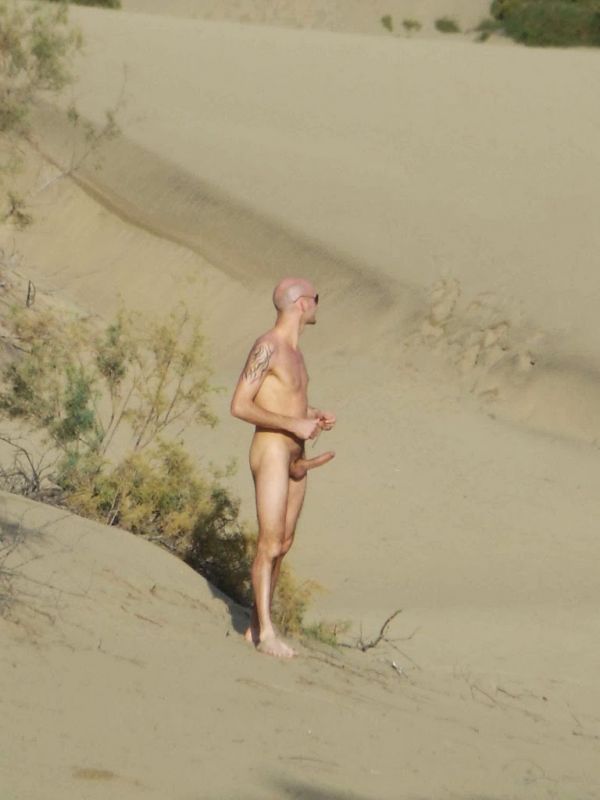 shemale ladyboy nude beach erection