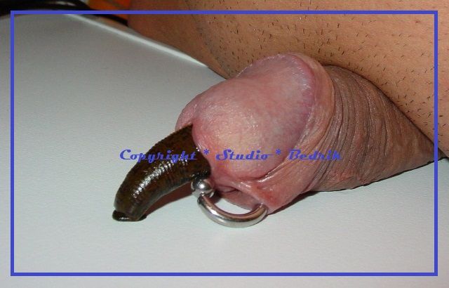 huge dildo in vagina