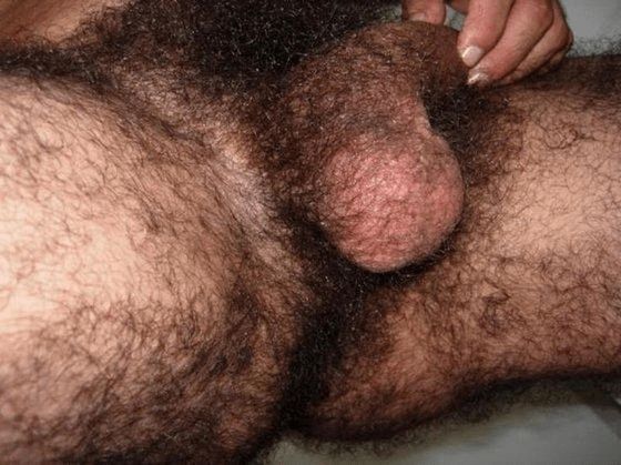 very hairy naked muscle men