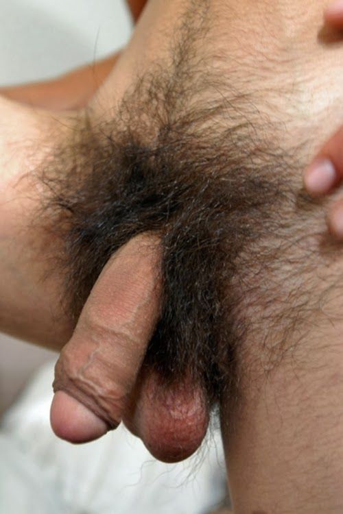 big hairy dick man