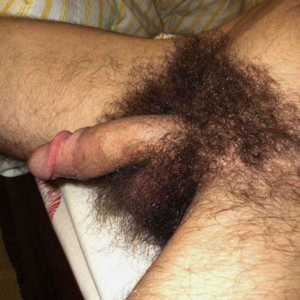 hairy penis