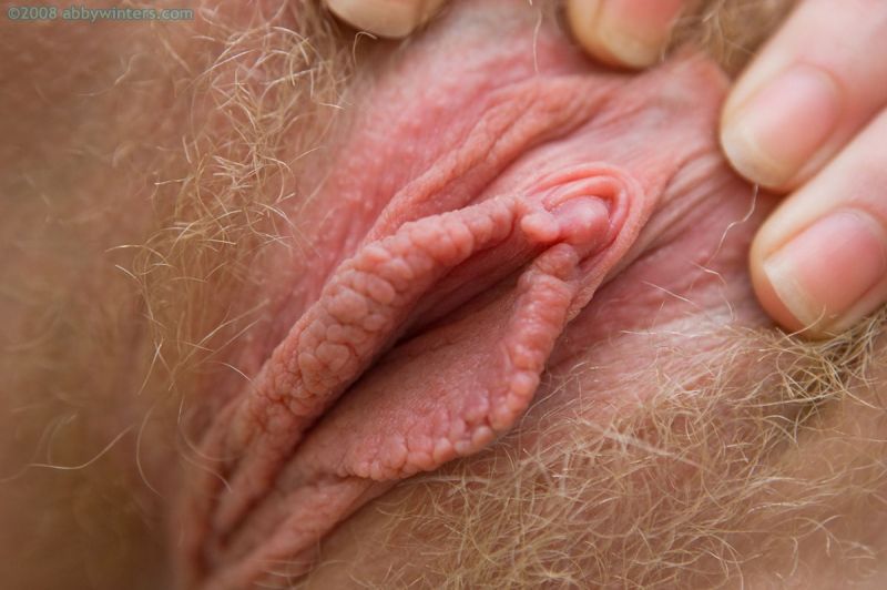 huge labia clitoris