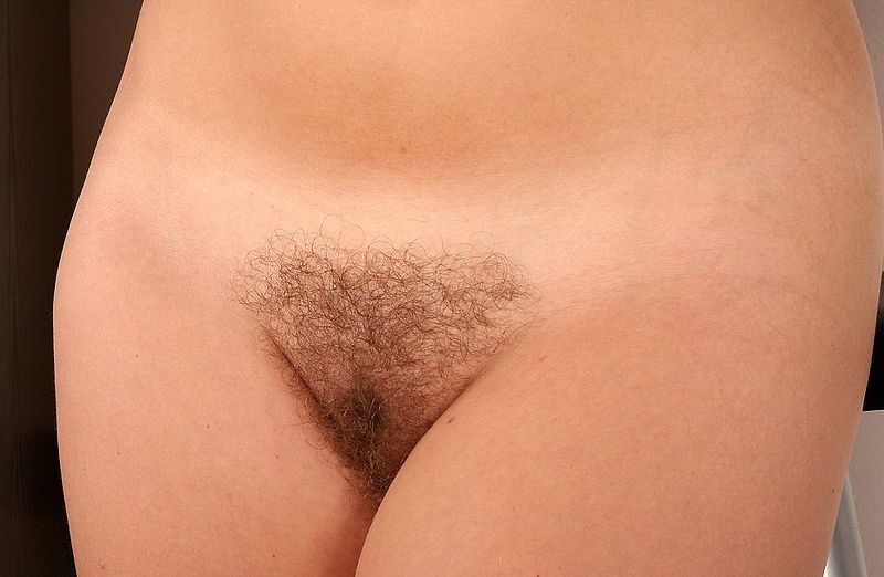 blonde pubes on penis