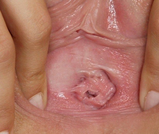 nude vagina close up dildo