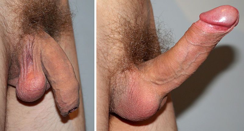 nude vaginal intercourse