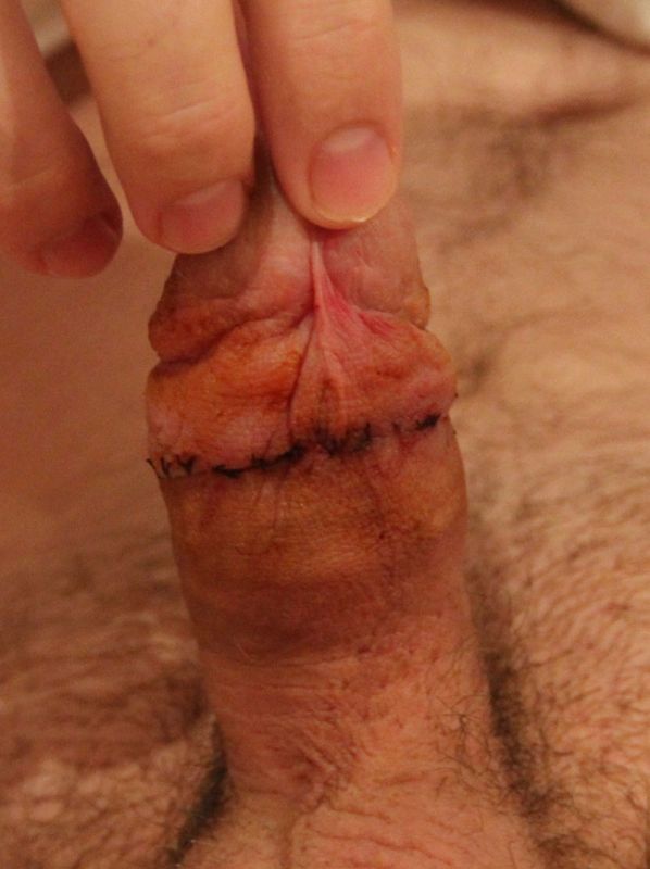 perfect penis erect shaved cock