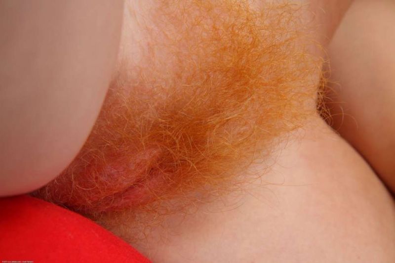 Hairy Redhead Pussy Closeup