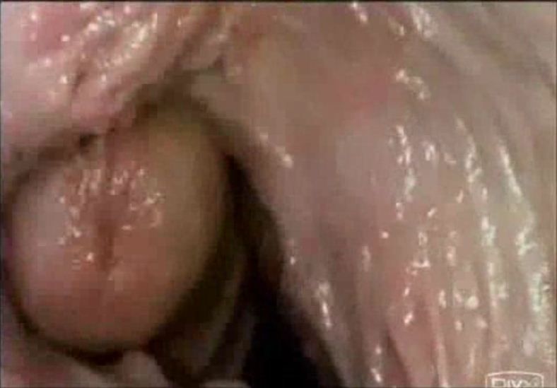 Erect Penis In Vagina Orgasm