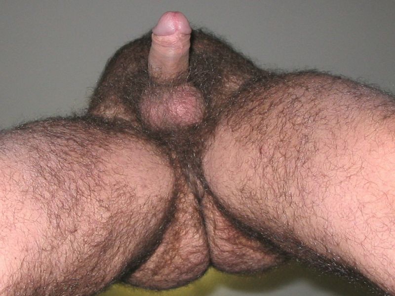 very hairy gay male