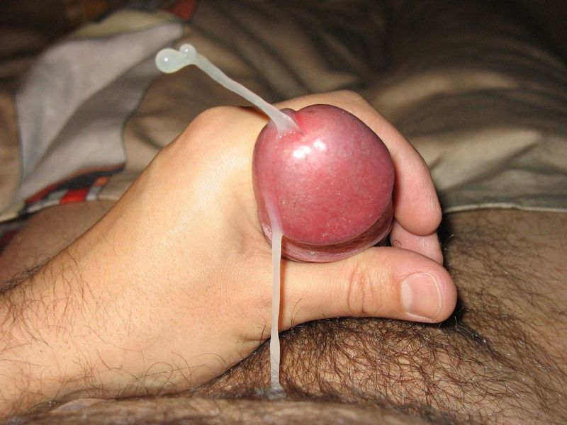 mature man erect penis
