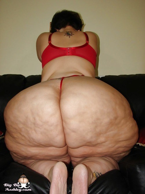 busty wide hips big ass women