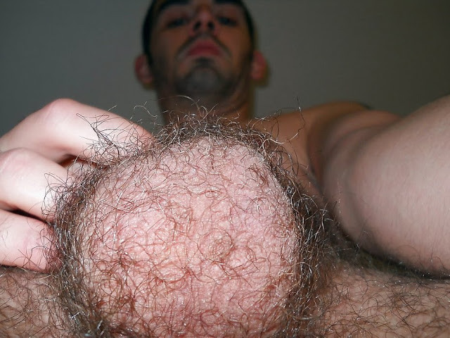 hot hairy cock and balls