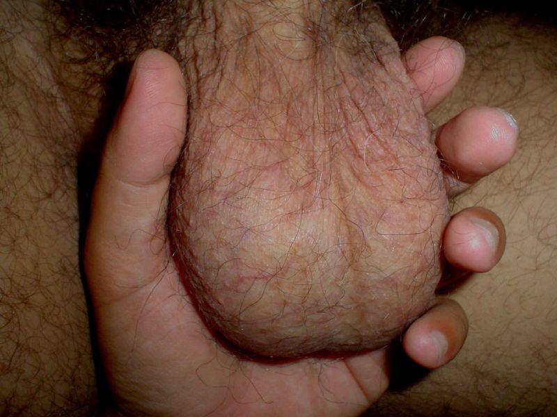 huge hairy cocks and balls compilation