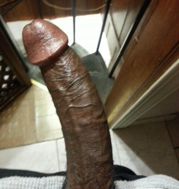 huge long cock penis