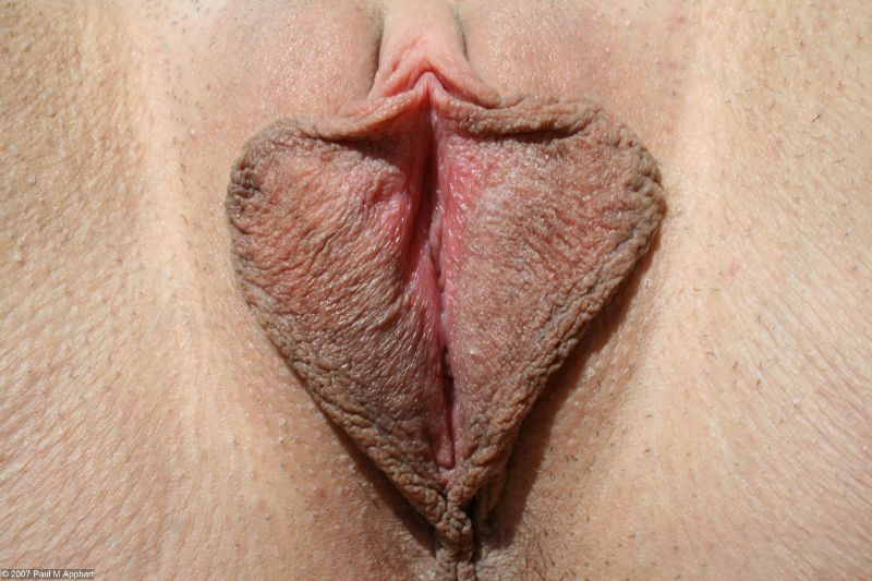 gaping pussy lips