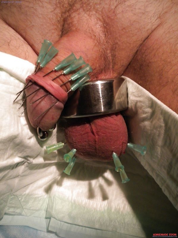 femdom cock and ball toys