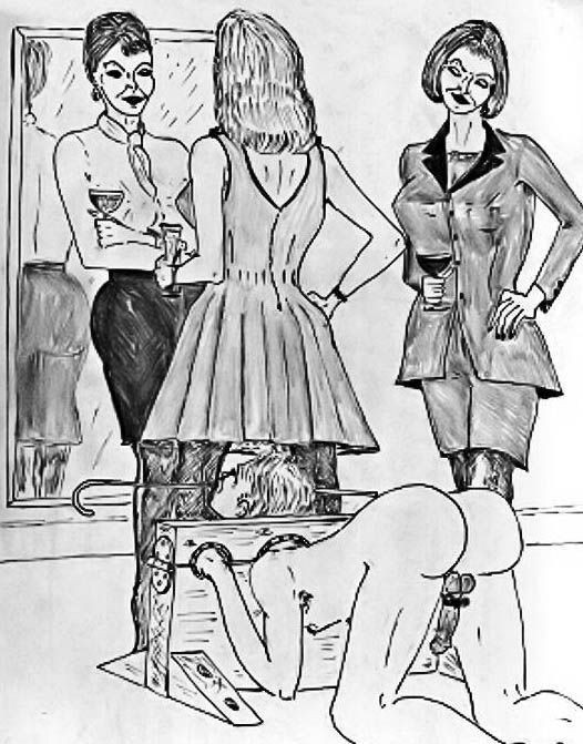 drawings of the ladies series by carol