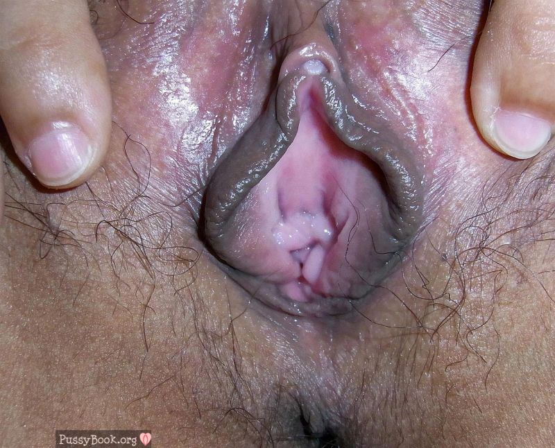 close up vulva porn