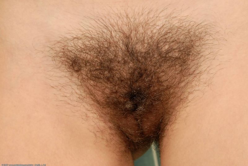 nude pussy hairy