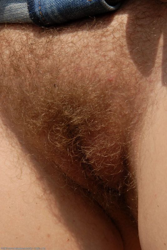 brunette hairy vulva