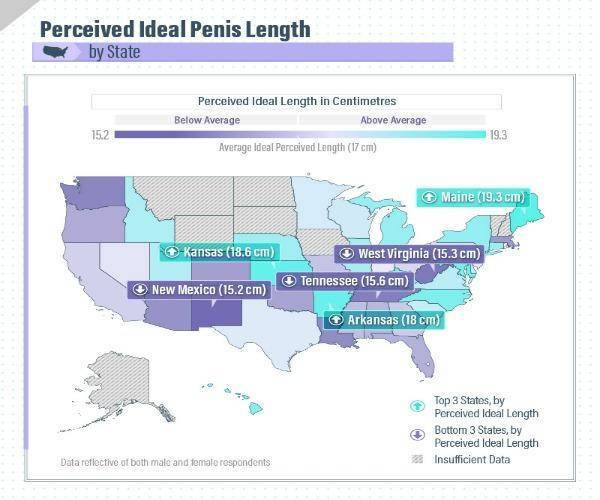 naked groups of men with average size penis