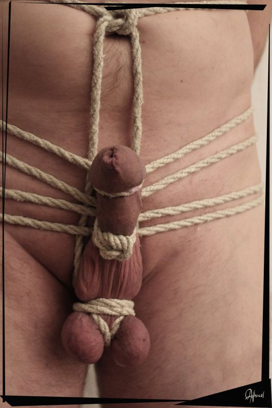 gay cock and ball bondage