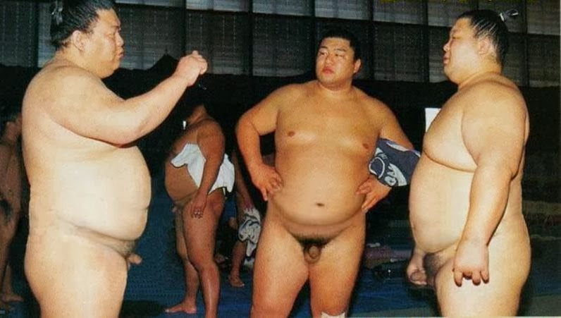 sumo wrestler nu