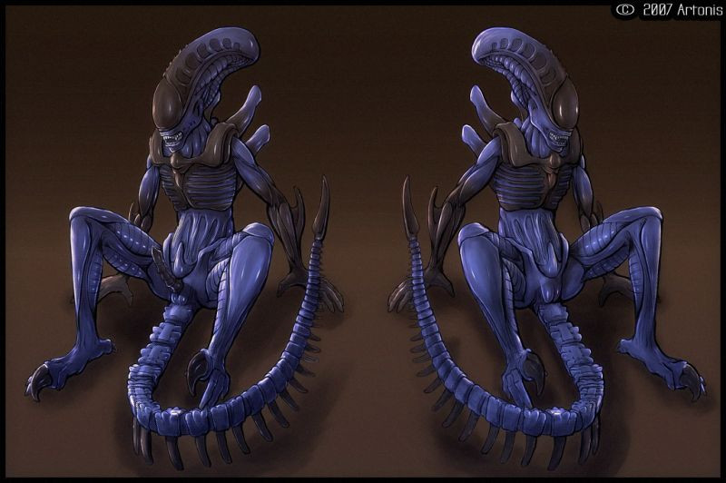 alien covenant birth xenomorph