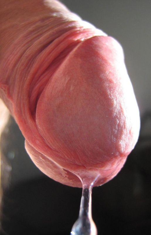 lingerie shemale cock dripping cum