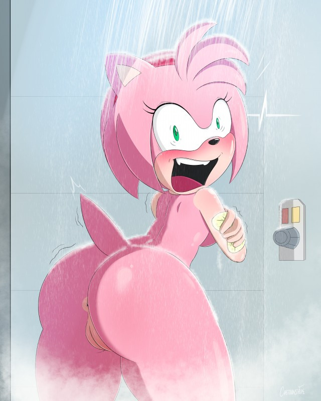 fat amy rose sprites