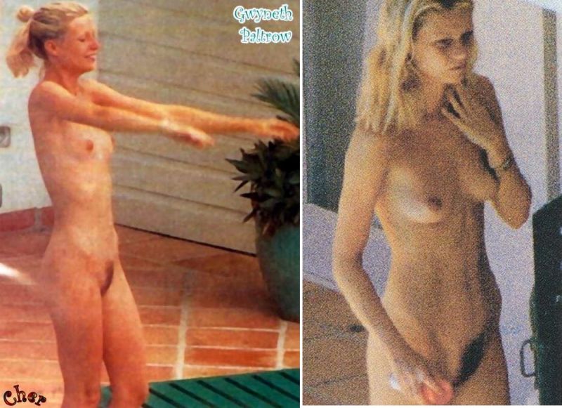 Sexy gwyneth paltrow nude and bikini pics