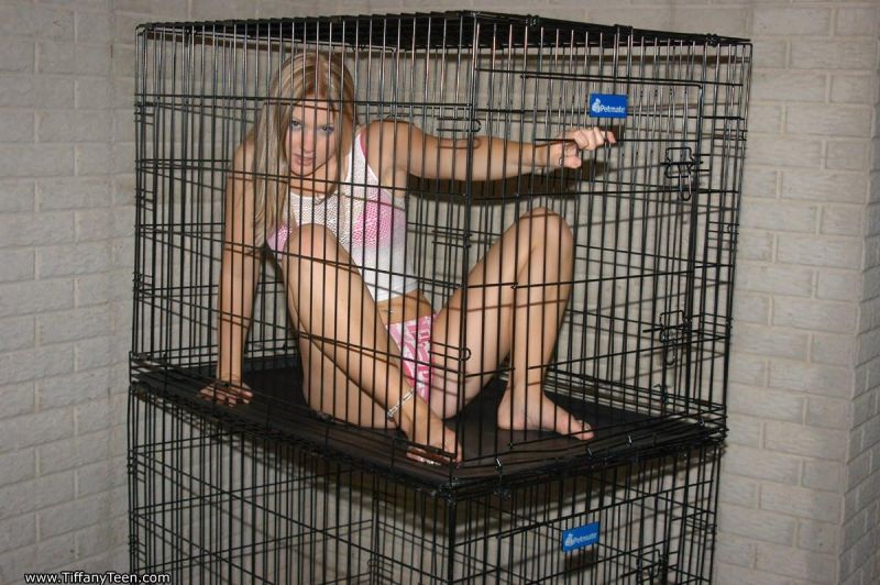 slaves kept bird cages