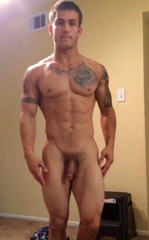 gay male porn star butt