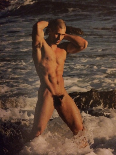 gay male nude muscle men