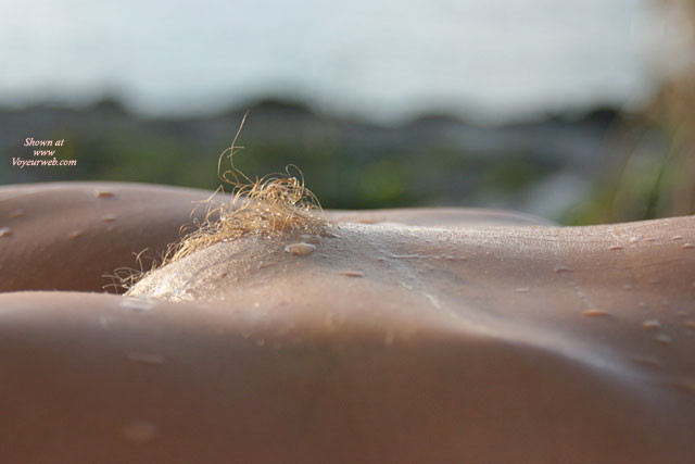 hairy wet blonde pubes