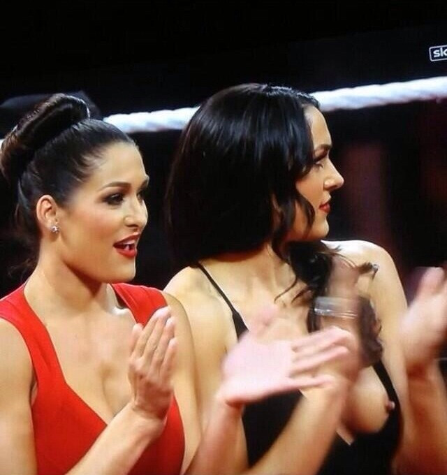 the bella twins fitness
