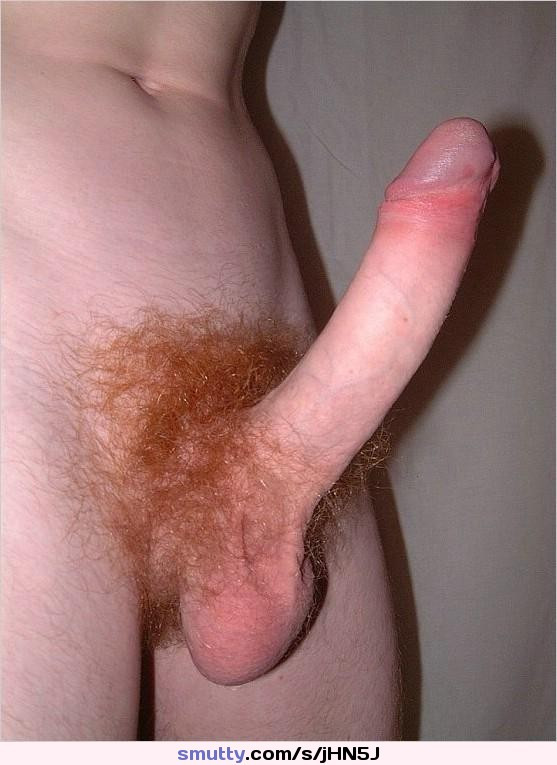 hairy erect penis gif