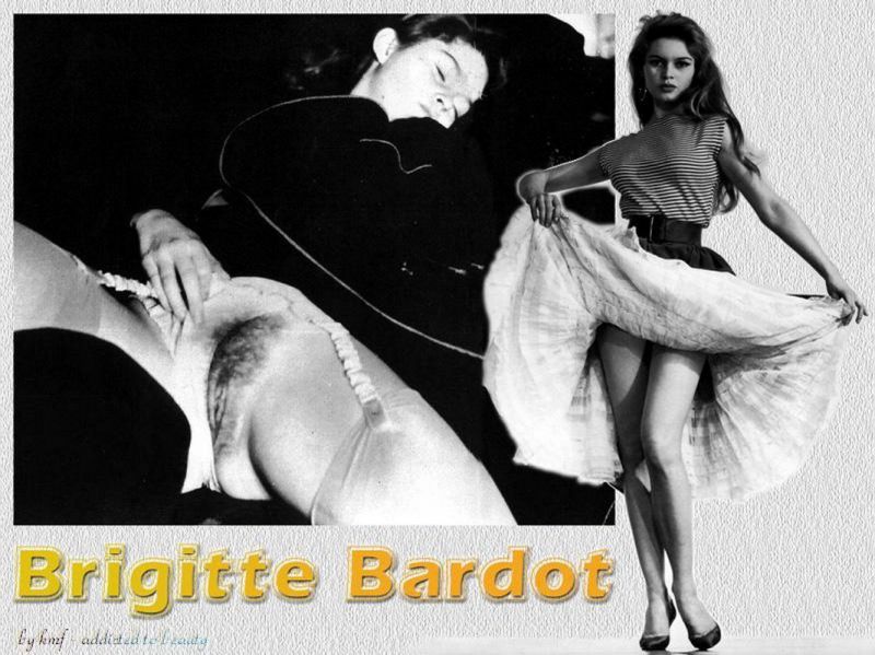 brigitte bardot costume