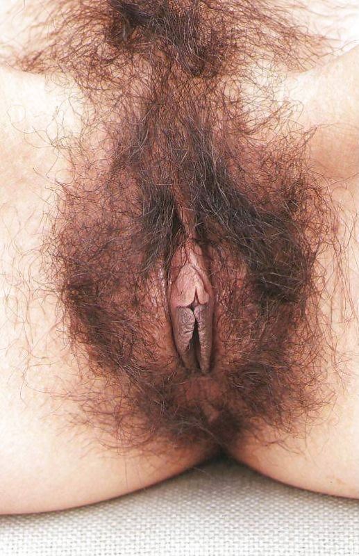 vintage hairy pussy close